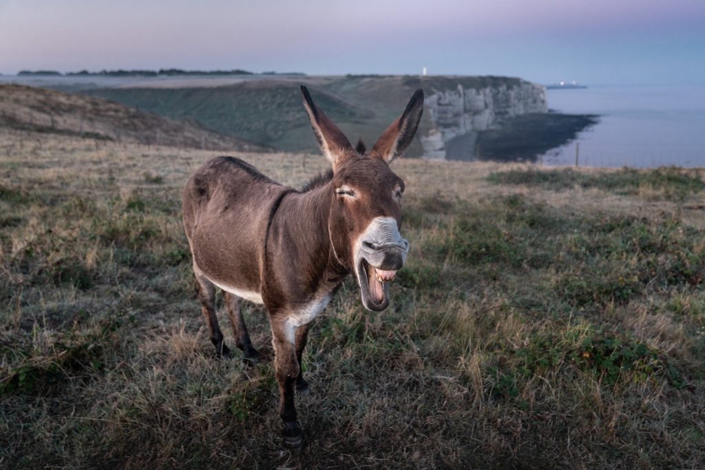 nudge marketing tourisme écogestes parcs nationaux de france